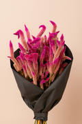Mama's Dried Flowers