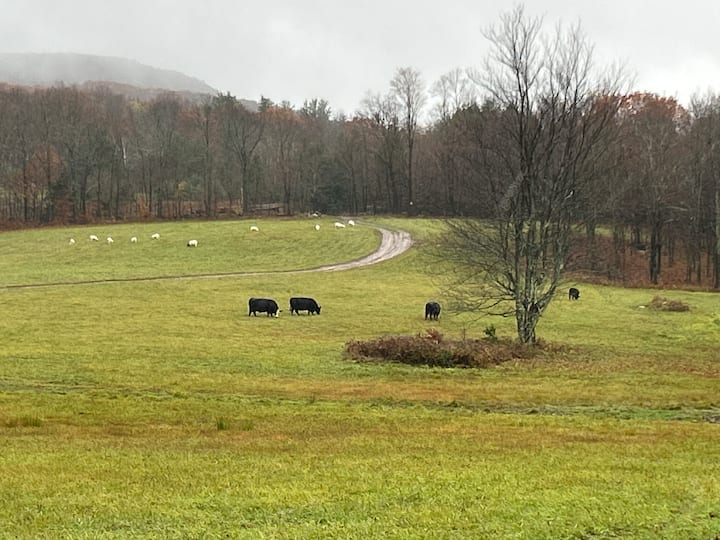 6 Bedroom 1860 Farmhouse Mountain Views Windham